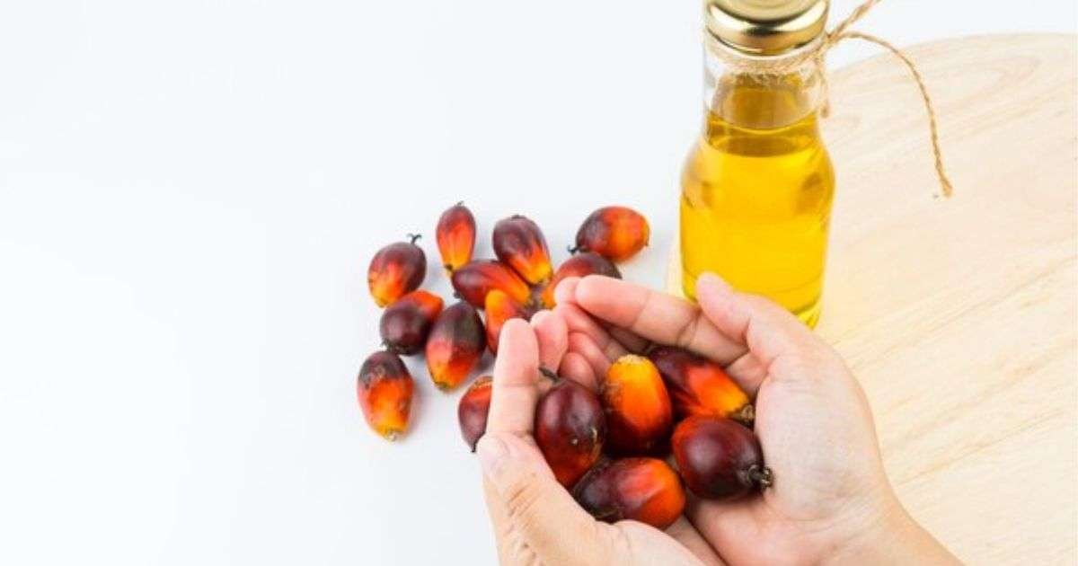 Palm Oil