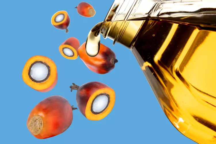 Discover the Impact on Your Body When Consuming Palm Oil